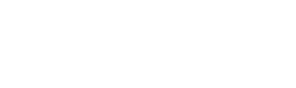 ProtoKinetix logo white version