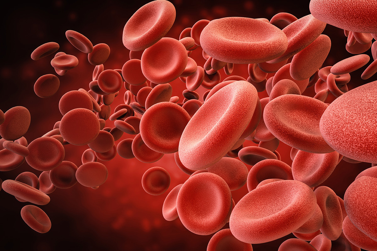 Red blood cells image