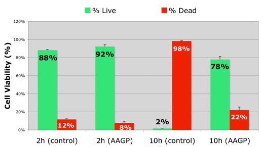 Bar graph image